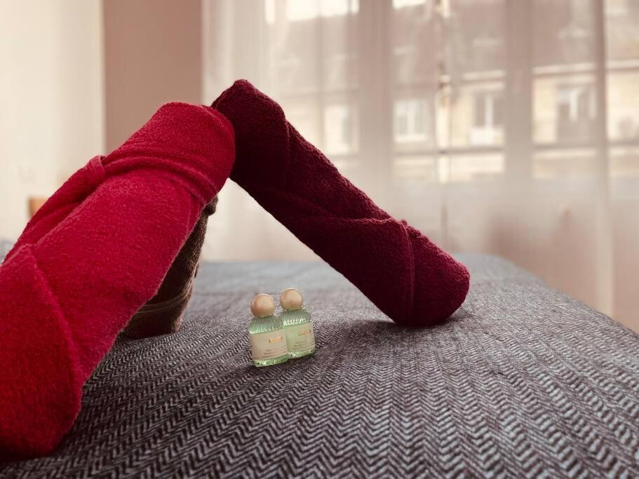 L'Appartement Lafayette Rive Gauche Rouen Dış mekan fotoğraf